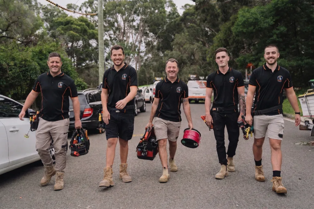 Professional electrical services in St George Area
